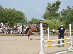 DSC_9463_web